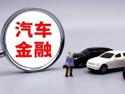 沾化押车贷款不是本人可以么?